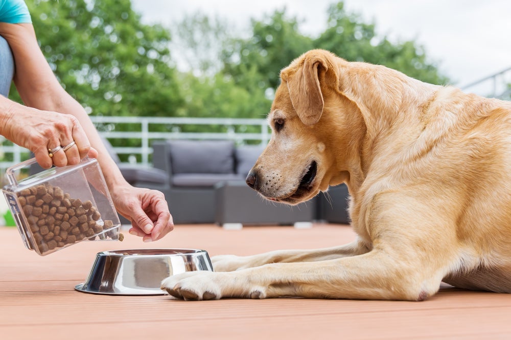 Envie a quantidade necessária de ração na mala do pet para hotel para cachorro.