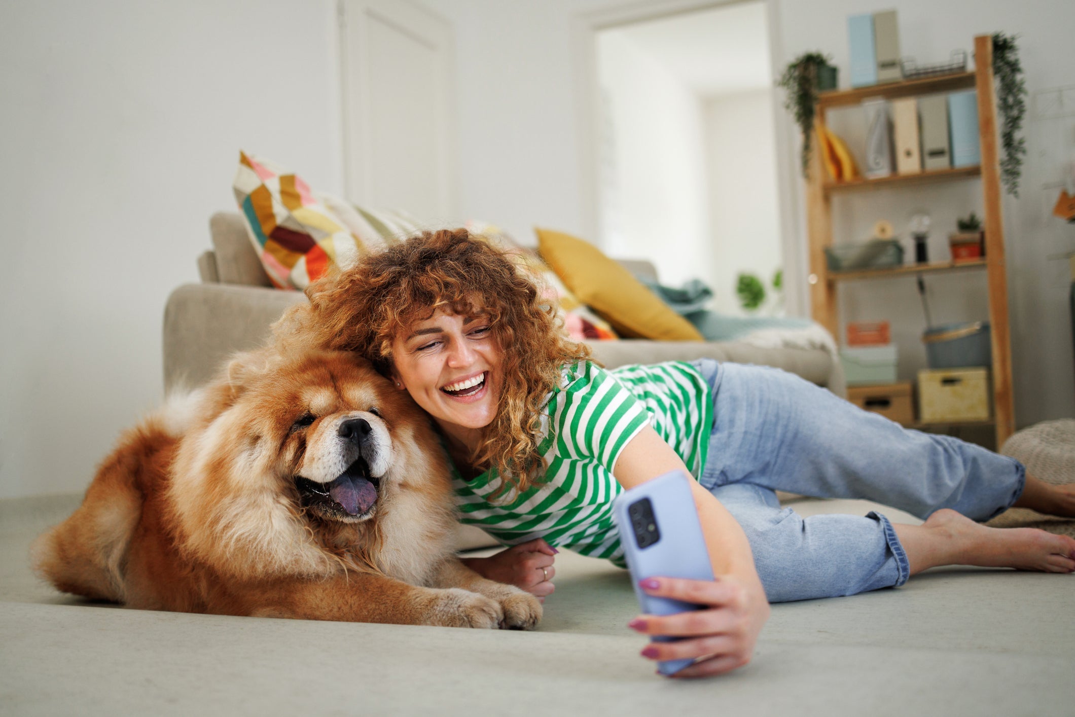 Entender a linguagem dos cachorros não é difí­cil