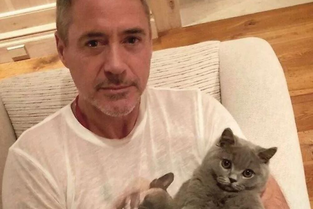 Robert Downey Jr. é um amante de gatos e sempre mostra seus bichanos
