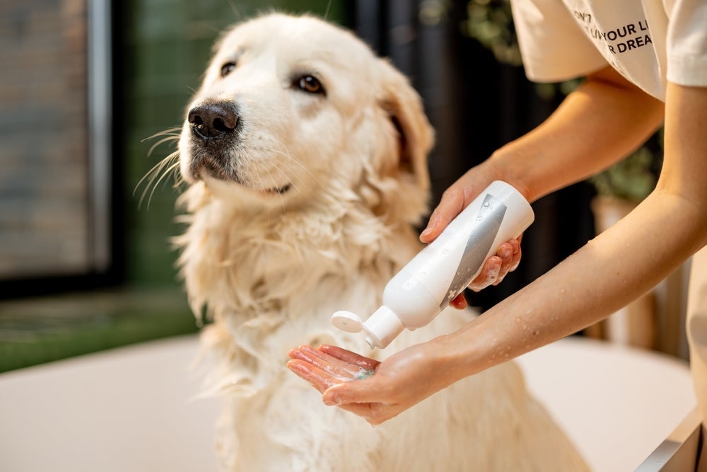 O shampoo para cachorro deve ser adequado à idade e tipo de pelo do pet