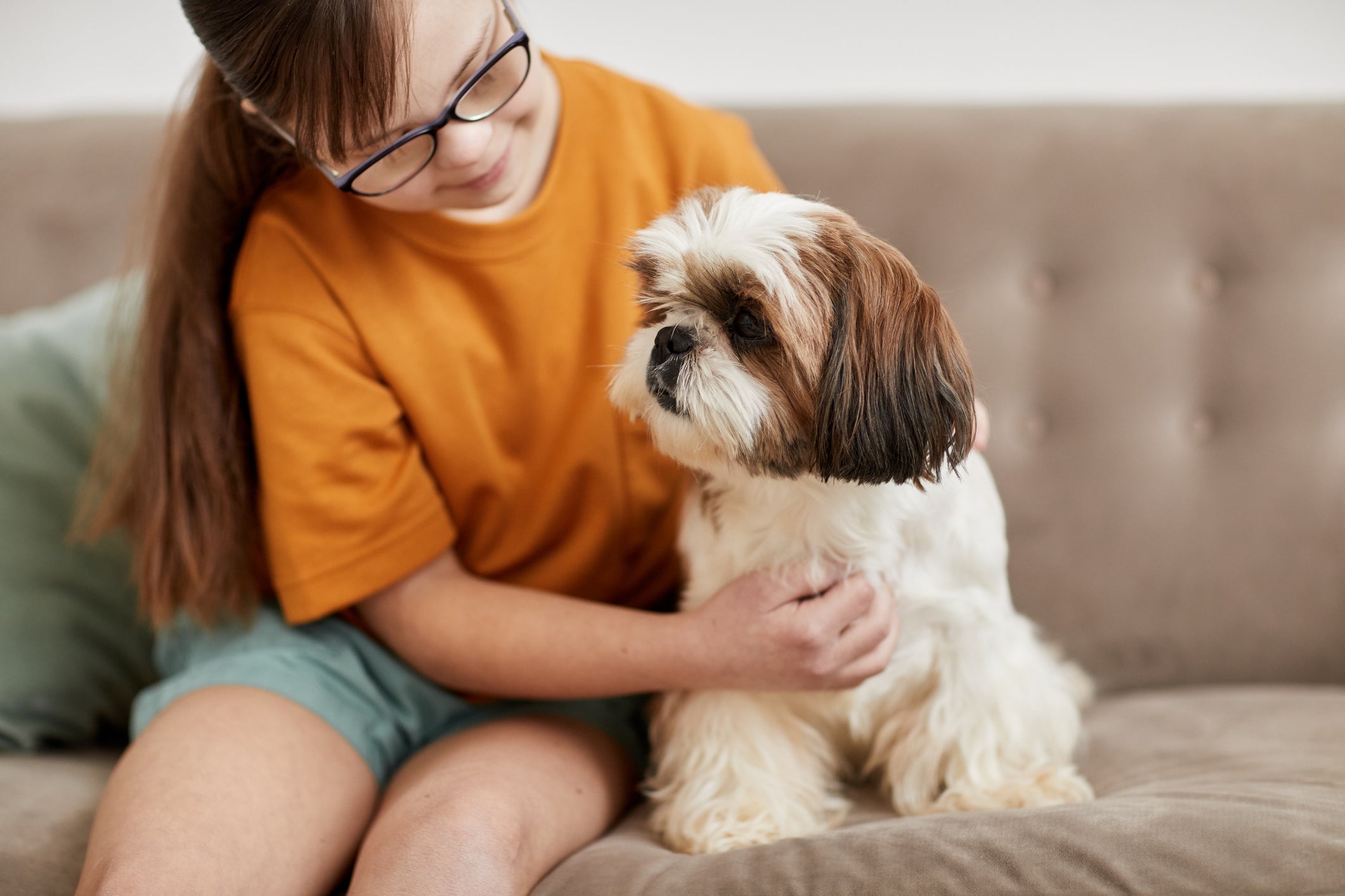 Geralmente, o Shih Tzu gosta de crianças e se relaciona bem com elas