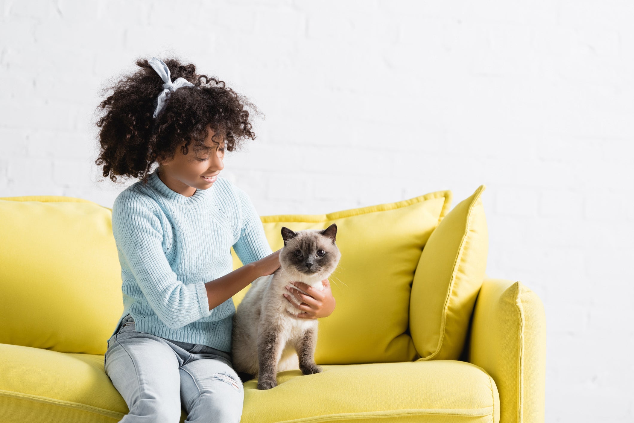 O Siamês é uma das melhores raças de gato para quem tem crianças 