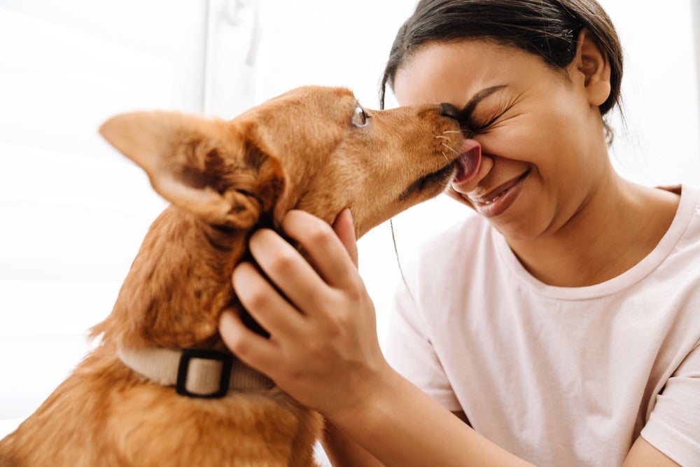 O amor de cachorro é demonstrado vários gestos do cotidiano