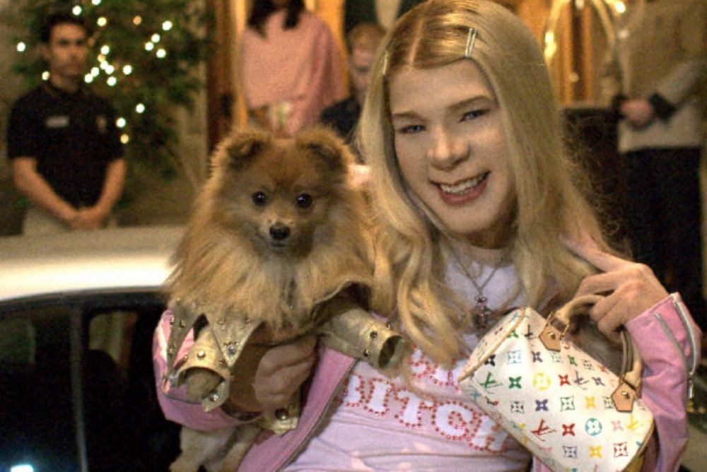 O Spitz Alemão é tão popular que já apareceu até no filme "As Branquelas" (Foto: Divulgação)