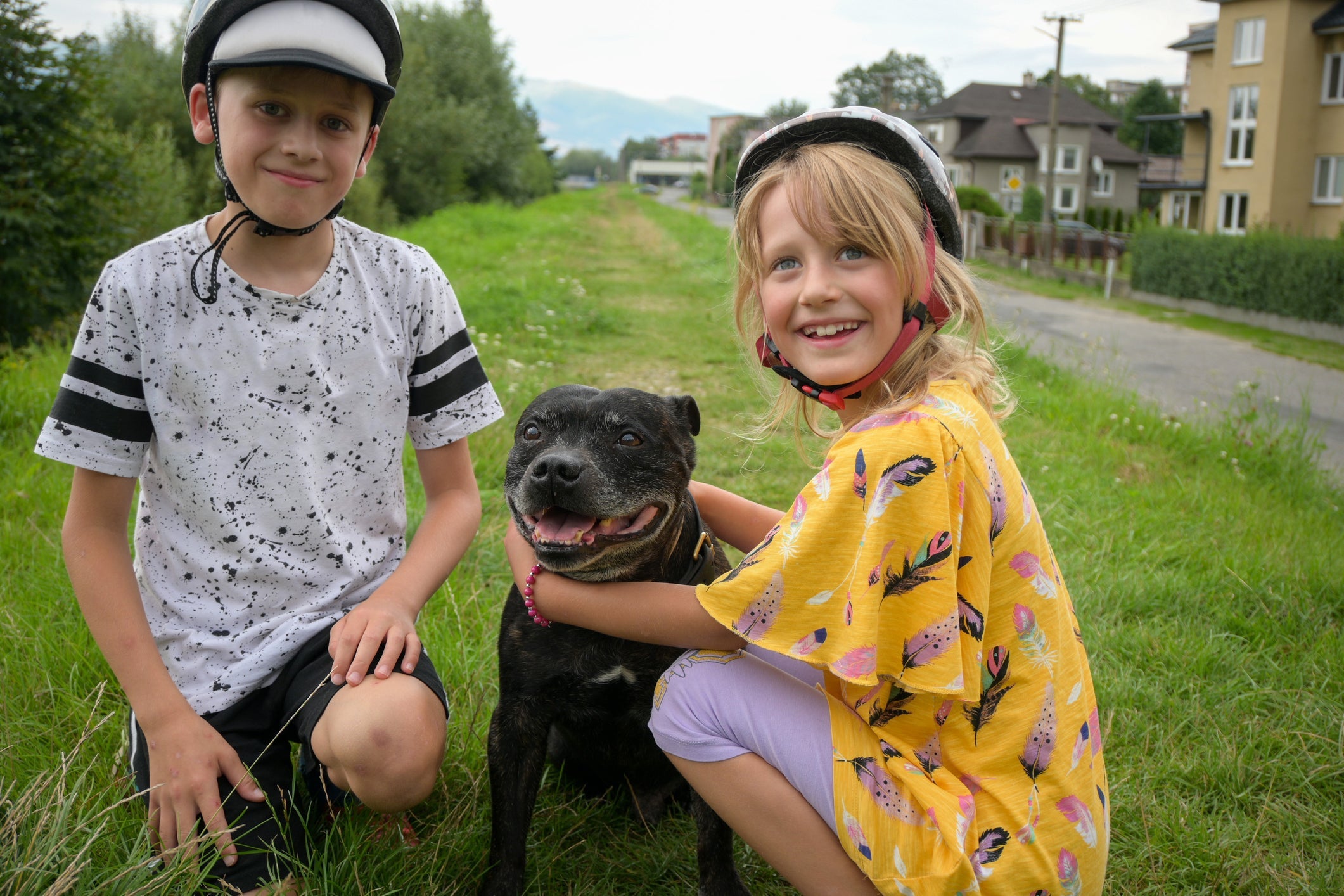 Staffordshire Bull Terrier é conhecido como cão babá e se dá muito bem com crianças.