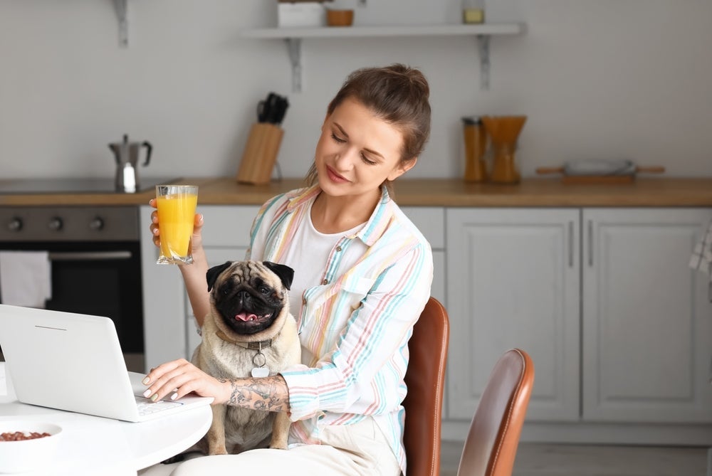 Suco para cães: é importante saber quais são as frutas para cachorro permitidas e proibidas antes de oferecer o suco ao pet