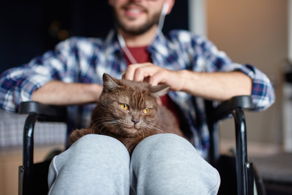 Terapia com animais pode ser indicada em vários casos