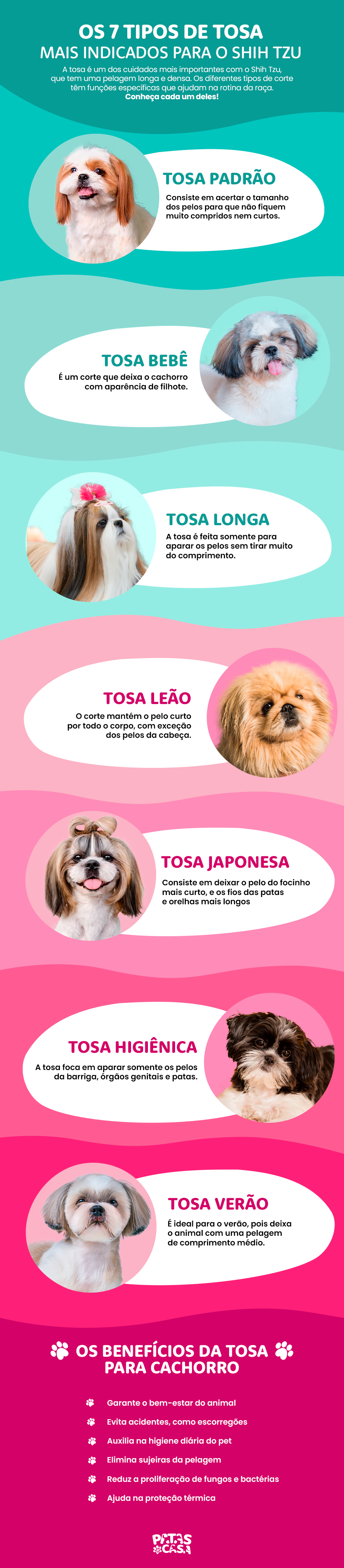Bloco informativo mostrando os diferentes tipos de tosa Shih Tzu