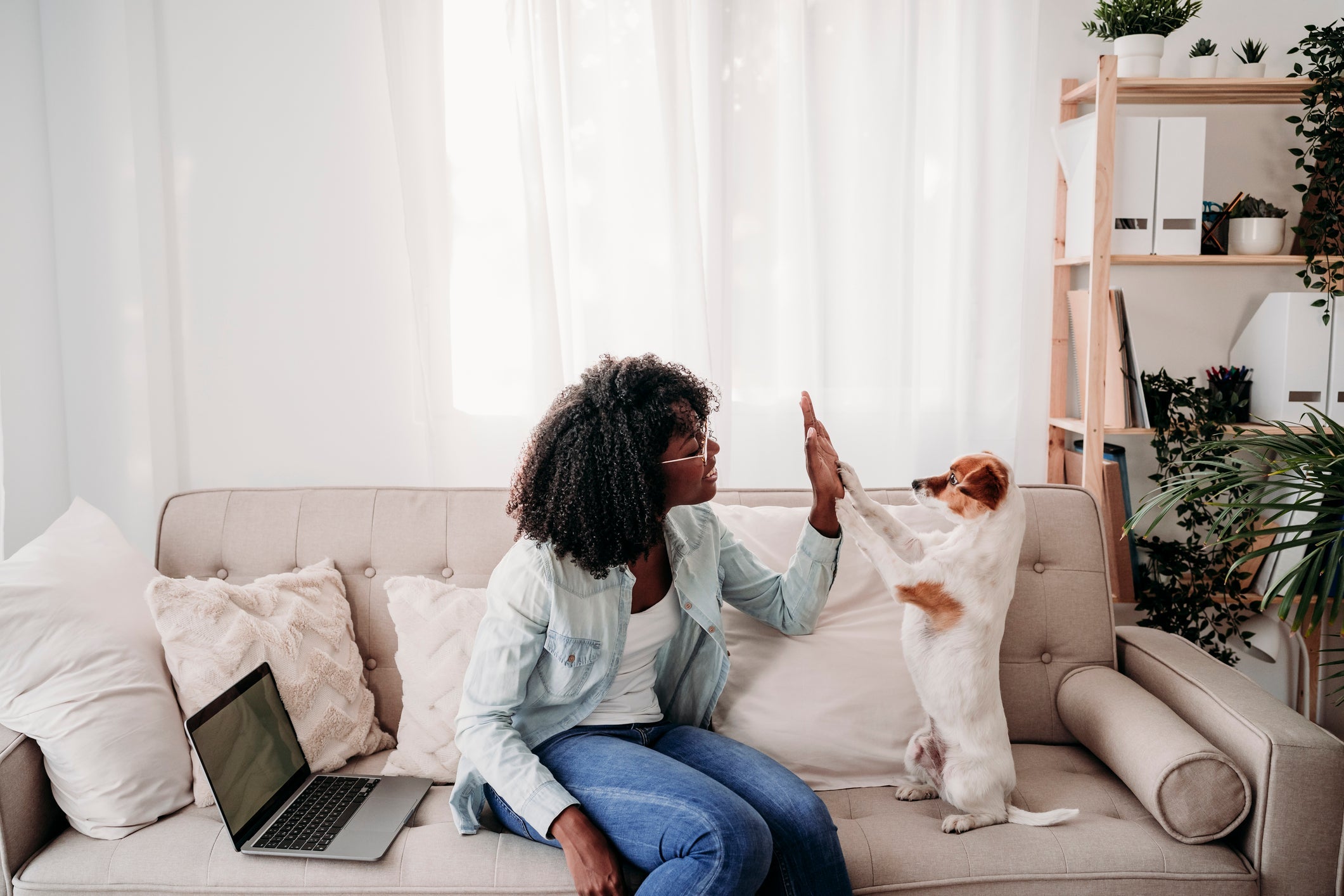 Uma forma de como ensinar a cachorro fazer necessidades no lugar certo é com a criação de comandos