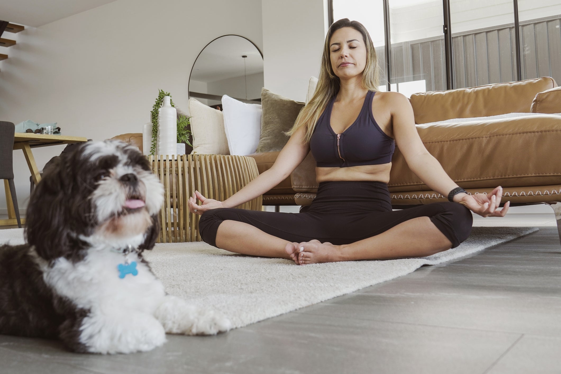 O nicho do cachorro hoje em dia está diretamente relacionado à convivência com os humanos