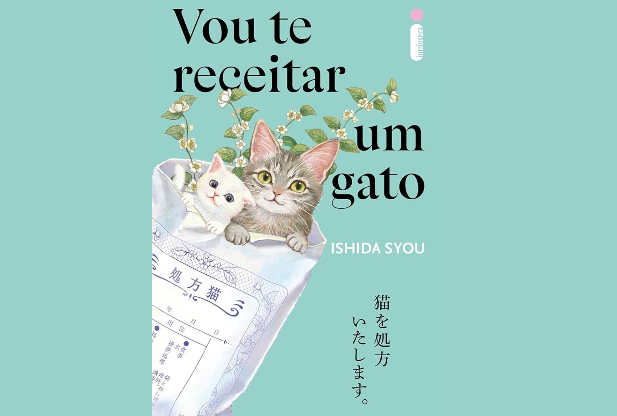'Vou Te Receitar Um Gato' mostra como o amor felino pode mudar vidas