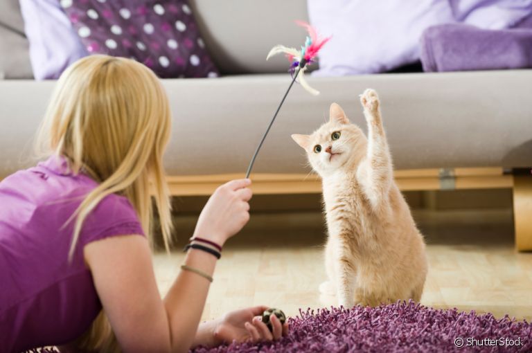 Brincar com os donos pode ser muito enriquecedor para o gato