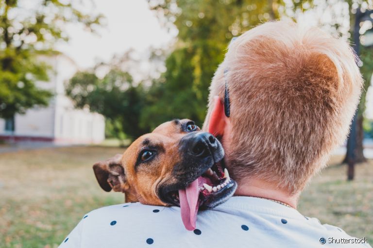 O amor de cachorro é regado de companheirismo e confiança