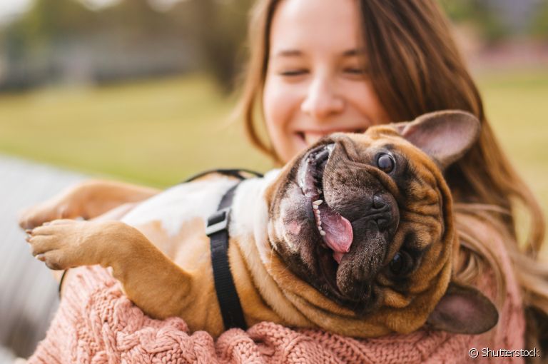 Cuidar de cachorro é uma caixinha de surpresas: conheça algumas delas aqui embaixo