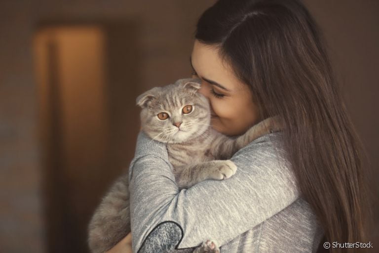 Alergia a gato tem controle e não precisa se desfazer do seu gatinho!