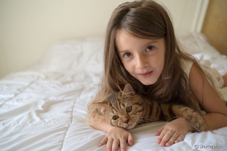  Gatos e crianças podem ter uma ótima relação. Confira as melhores raças para conviver com os pequenos! 