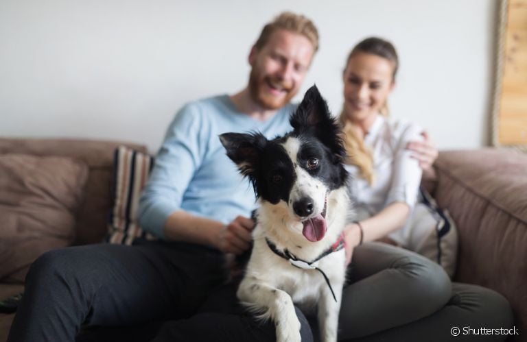 Levar um cachorro para casa é sinônimo de felicidade 24h por dia, mas também de muitas responsabilidades!