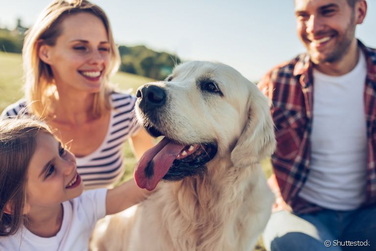 Construir uma rotina para cachorro é essencial