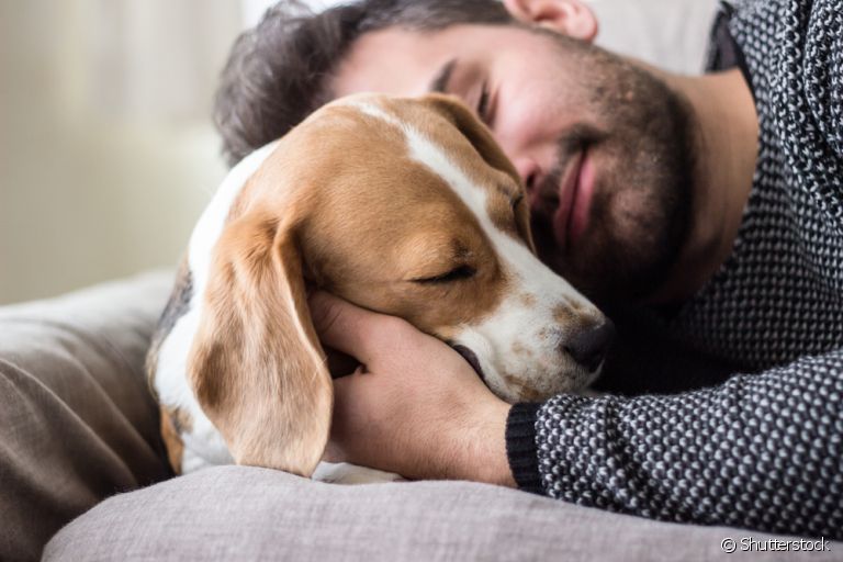 Já se perguntou qual raça de cachoro mais combina com o seu signo? Saiba que algumas teorias podem te responder!