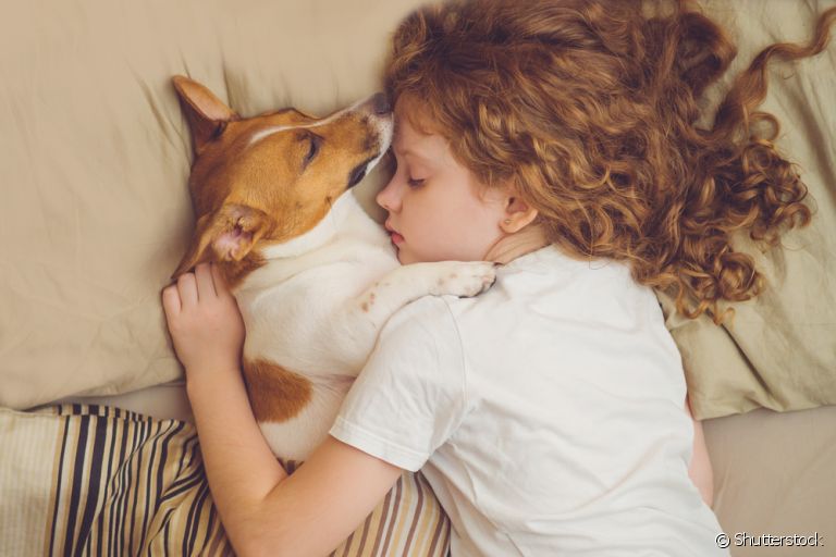 Descubra porque cachorro gosta de dormir encostado no dono a seguir!
