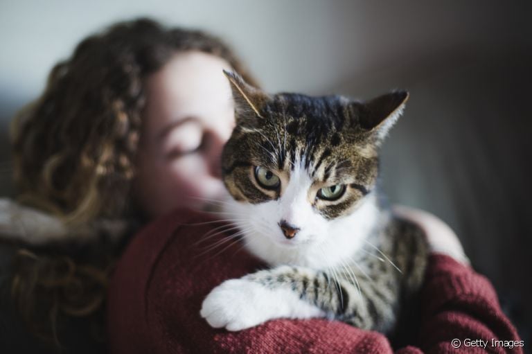 Afinal, como os gatos veem seus donos? Será que eles são capazes de reconhecê-los? Descubra!