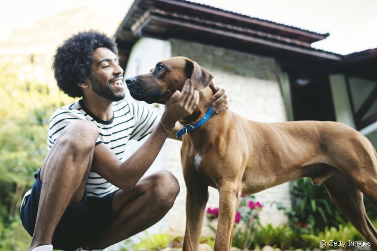 Pai de pet também é pai e nós podemos provar!