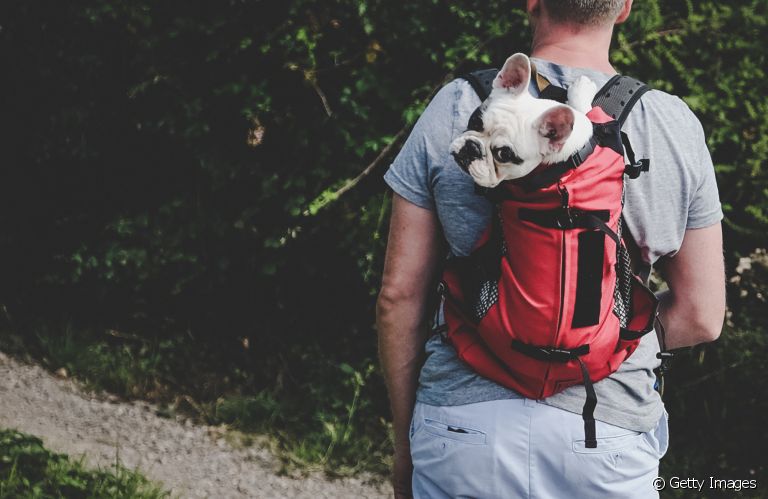 A mochila para cachorro é um acessório bem prático no dia a dia