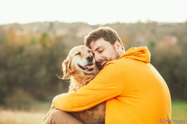 Será que cachorro entende o que falamos? Descubra como funciona isso!