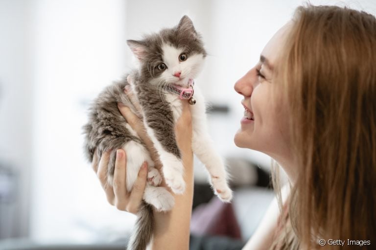Já ouviu falar de cat sitting? Saiba tudo sobre este tipo de serviço de babá para gato!