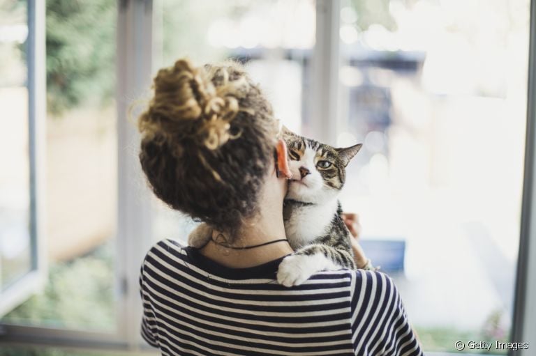 Gato carente: fofura ou um apego prejudicial?