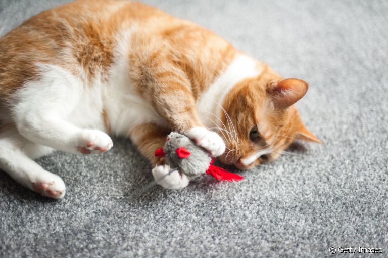 O ratinho de corda para gatos é uma ótima opção para deixar seu bichano entretido