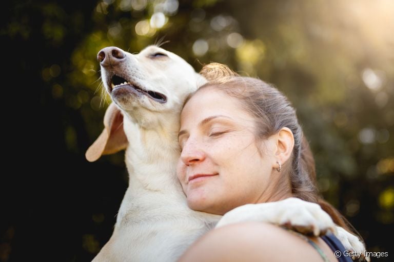 Não é difícil ter um cão terapeuta em casa! A presença de animais de estimação ajuda muito a saúde mental