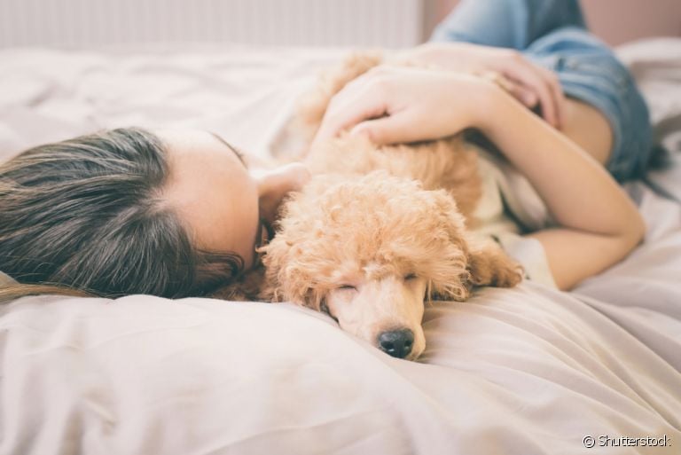 Gostar de dormir com o dono pode ser ainda mais comum em algumas raças de cachorro