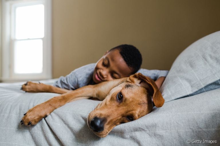 A relação entre o cachorro e seu dono pode gerar muitas dúvidas. Saiba algumas percepções dos cães sobre os tutores!