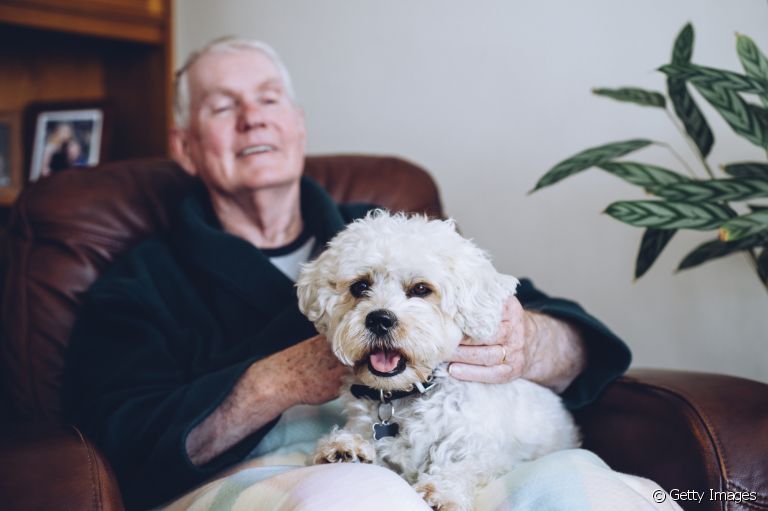 Os cães são ótimas companhias para aproveitar a melhor idade