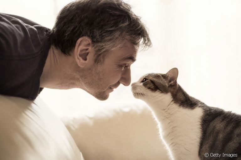 Quer entender por que os gatos cheiram o nariz do dono? Veja a seguir o que a gente descobriu sobre o assunto!
