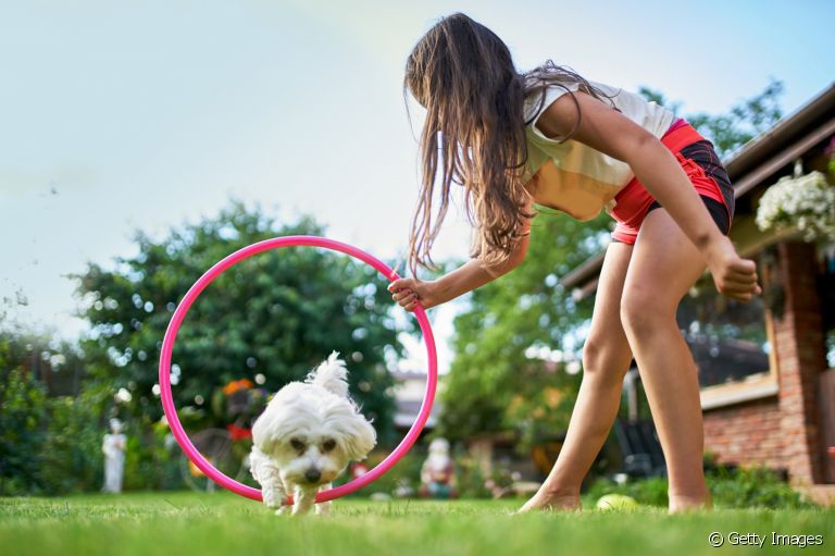 Do reforço positivo aos treinamentos para cão-guia, descubra os tipos de adestramento mais comuns