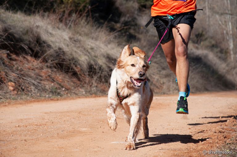 Correr com cachorro é uma atividade que estreita laços e melhora a saúde