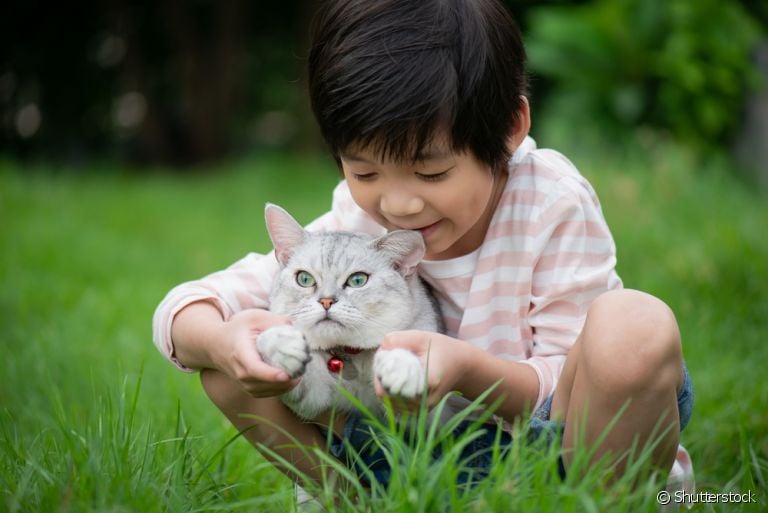 Gatos e crianças: a relação dos felinos com crianças pode ser bem amigável