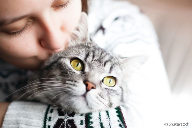 Você sabe se gato sente falta do dono? Descubra a resposta a seguir!