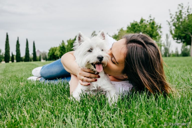 Adotar cachorro pode trazer benefícios para sua saúde! Confira alguns na matéria