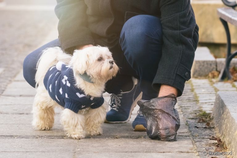 Assim como os desejetos humanos, o cocô do cachorro é considerado lixo sanitário