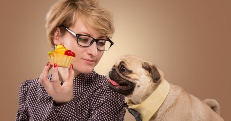 O cachorro não pode comer algumas comidas humanas, como macadâmia, cebola e alho