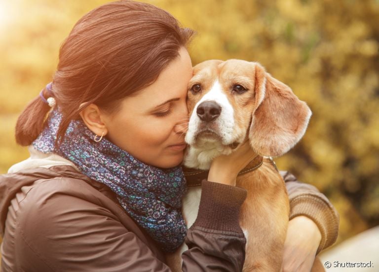 Cachorro ajuda na depressão? Os pets podem ser grandes aliados no tratamento de transtornos psicológicos