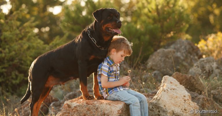 Rottweiler: temperamento e porte grande não impede que o cachorro tenha uma ótima relação com crianças e outros animais
