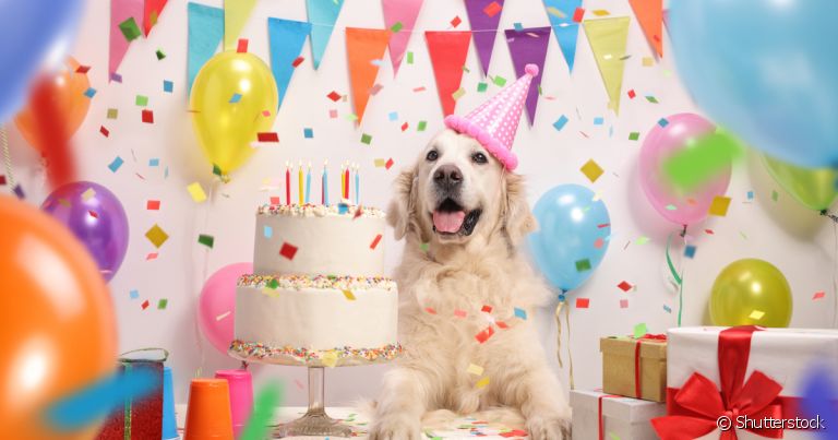 Aniversário de cachorro merece festa, mas existe uma série de cuidados que o tutor deve tomar