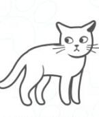 Veja em infográfico 6 dicas de como fazer seu gato beber água suficiente