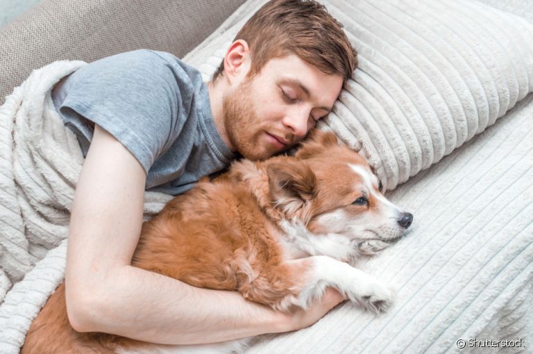 O cachorro dormindo na cama com o dono tem pontos positivos e negativos