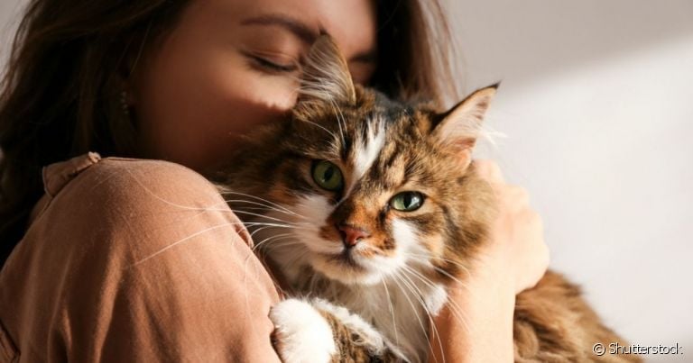 Quem tem alergia a gato definitivamente não precisa se desfazer animal, basta seguir alguns cuidados no dia a dia