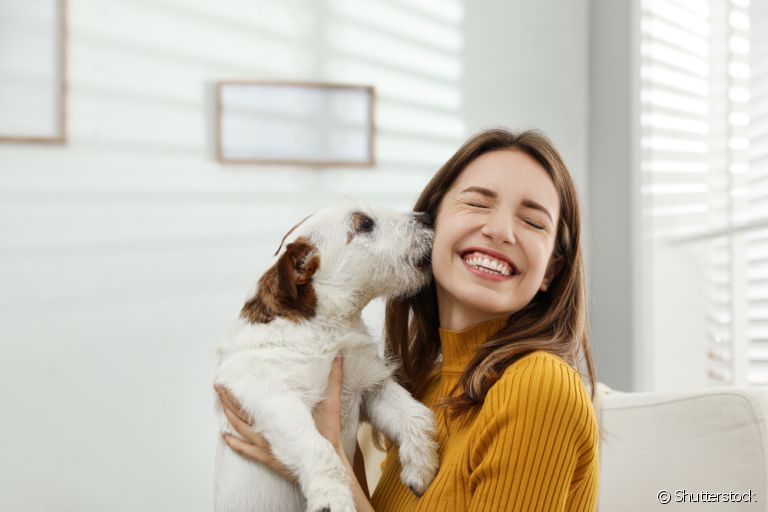 O amor de cachorro pode ser percebido de várias formas, e às vezes o doguinho escolhe seu próprio dono